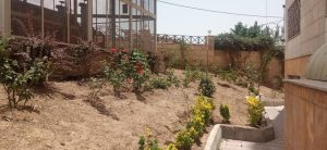 WhatsApp Image 2023-05-29 at 13.05.45