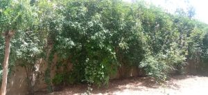 WhatsApp Image 2023-05-29 at 13.05.52