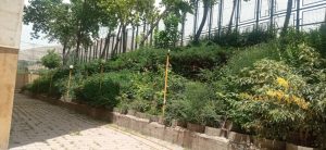 WhatsApp Image 2023-05-29 at 13.06.18