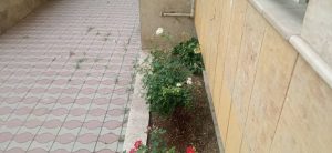 WhatsApp Image 2023-05-29 at 13.06.22