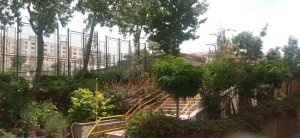 WhatsApp Image 2023-05-29 at 13.06.23 (1)