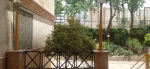 WhatsApp Image 2023-05-29 at 13.06.24