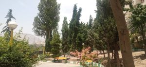 WhatsApp Image 2023-05-29 at 13.06.25 (1)