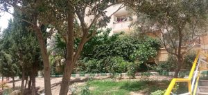 WhatsApp Image 2023-05-29 at 13.06.26