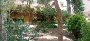 WhatsApp Image 2023-05-29 at 13.06.27