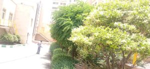 WhatsApp Image 2023-05-29 at 13.06.28 (1)