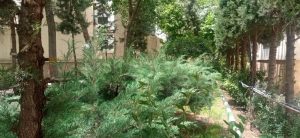 WhatsApp Image 2023-05-29 at 13.06.29 (1)