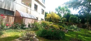 WhatsApp Image 2023-05-29 at 13.06.31 (1)