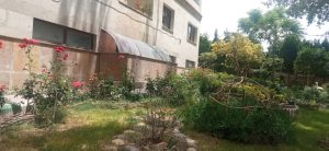 WhatsApp Image 2023-05-29 at 13.06.31