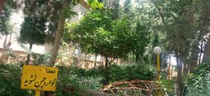 WhatsApp Image 2023-05-29 at 13.06.32 (1)