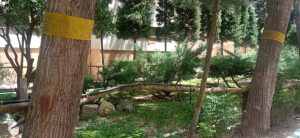 WhatsApp Image 2023-05-29 at 13.06.32