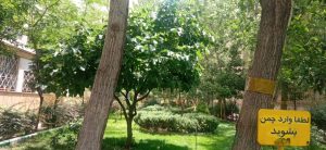 WhatsApp Image 2023-05-29 at 13.06.34 (1)