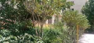 WhatsApp Image 2023-05-29 at 13.06.35