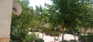 WhatsApp Image 2023-05-29 at 13.06.36