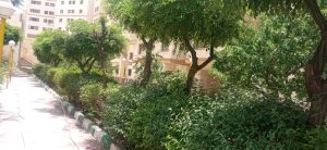 WhatsApp Image 2023-05-29 at 13.06.37