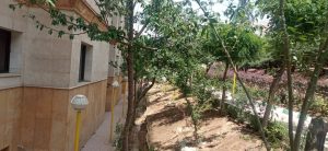 WhatsApp Image 2023-05-29 at 13.06.38 (1)