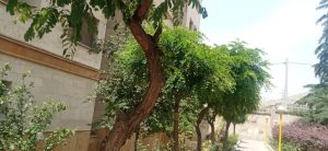 WhatsApp Image 2023-05-29 at 13.06.38